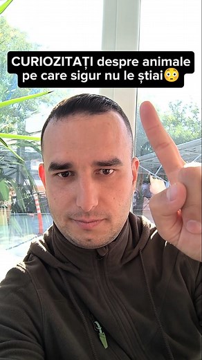 CURIOZITATI despre animale pe care sigur nu le stiai😳 | Ionut Mosoeanu