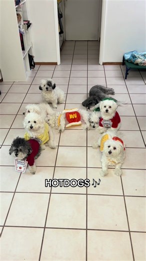 Join Us for the Cookout Celebration!