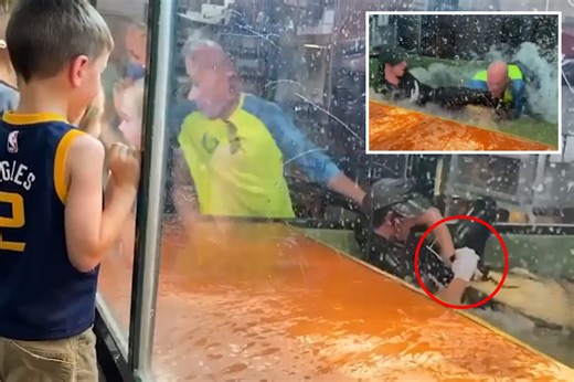 Moment zoo worker is dragged into tank by ALLIGATOR in front of kid's party