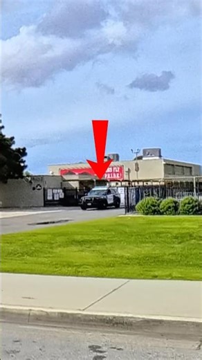 POLICE looking to go on a TICKET spree🤣 #police #cops #officer #tickets #ticket #ford #mustang #fyp