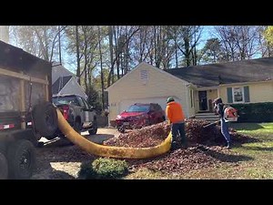 Leaf Vacuum sucking up leaves | Satisfying CleanUp