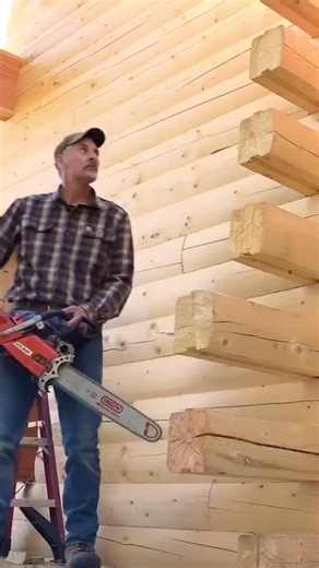 15 May: A Historical Overview