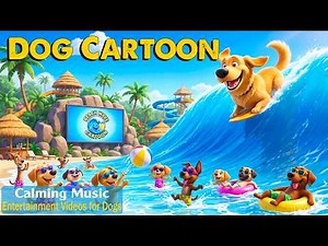 12 Hours Cartoon Dog TV 🐶 Puppies Playtime in the Pool | Cartoon for Bored Dogs to Watch Home Alone
