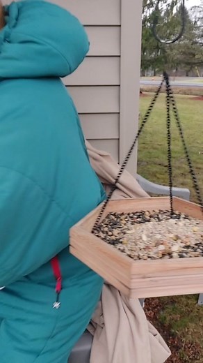 Heartwarming Baby Bird Feeding Moments with Bird Lady Drin
