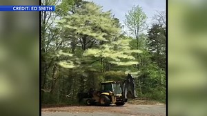 Incredible video shows pollen storm in New Jersey