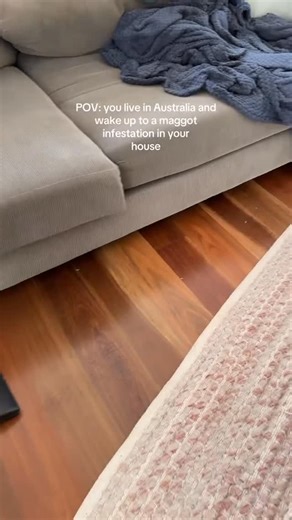 Aussie Family 🇦🇺👨‍👩‍👧‍👦 on Instagram: "how???? - 🎥: ameliamadisons(tt)"