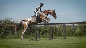 10K views · 202 reactions | This video gives a fantastic insight in to the movement within the lumbosacral junction as illustrated in the sliding western stop. We filmed this incredible movement with David Deptford and the team at Sovereign Quarter Horses. To find out more please visit https://www.horsesinsideout.com/aia | Horses Inside Out | Facebook