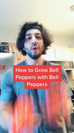 Save Money with This Garden Trick 🌱