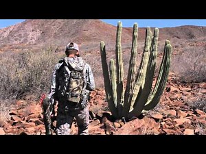 Sitka Films: Band of Three