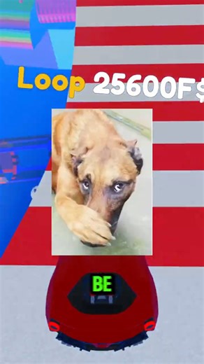 POV: You Joined the Worst Roblox Server Known to Humanity 😂💀