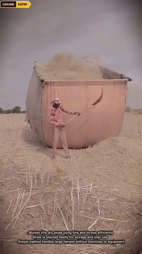 Hay Storage And Loading Process Using Manual Fork Tool Technique