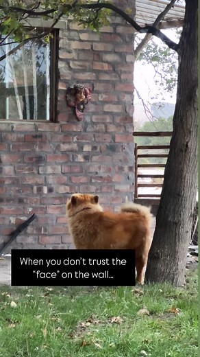 The Big Feast on Reels