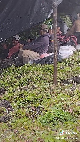 Exploring Rural Fields: Soil and Vegetation Insights