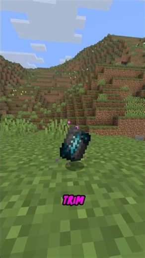 The Minecraft Rule That No One Questions