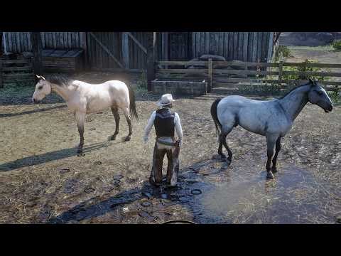 A Relaxing Day in Valentine with Two Gorgeous Tennessee Walkers | RDR2