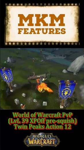 World of Warcraft |PvP| LvL39 BfA Twink | Twin Peaks 12