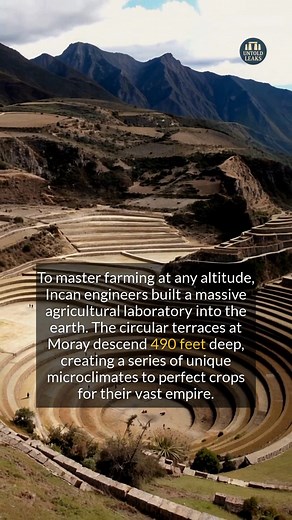 The Incas built a massive agricultural laboratory to master farming at any altitude. #history #archaeology #ancienthistory #inca | Untold Leaks