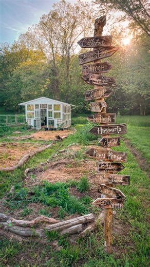 293K views · 9.6K reactions | Two years in our magical forest ✨ This...