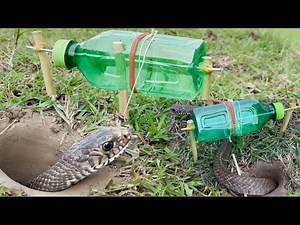 Amazing Creative DIY Snake Trap Using Water bottle Work 100%#snaketrap