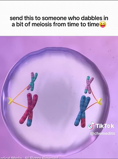 "The nuclear division that forms haploid cells, which is called meiosi... | Biology