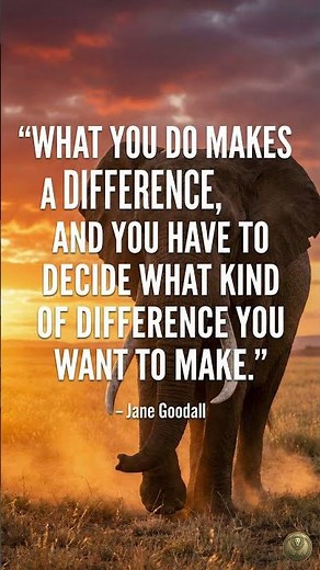 Make a Difference. Choose Your Impact 💫 | Daily Motivation