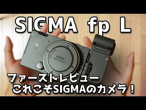 【Review】SIGMA fp L レビュー これこそSIGMAのカメラ！