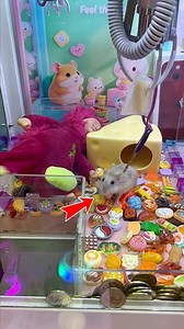 45K views · 389 reactions | This Claw Machine Is Totally Insane Part 29 #clawmachine #arcade | Claw Frenzy | Facebook