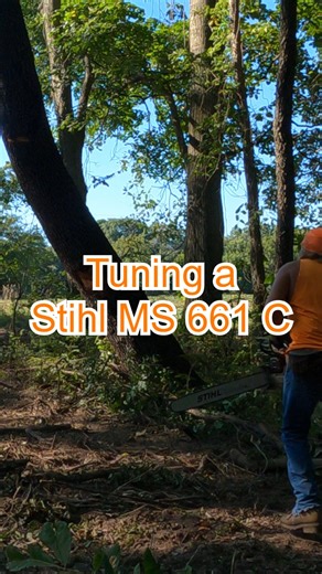 434K views · 4.4K reactions | This is how you tune a #Stihl MS 661 C. I assume it is a similar procedure for a lot of their saws #chainsaw #treeremoval #treeservice #Logging #logger #trees | Boys In The Woods | Facebook