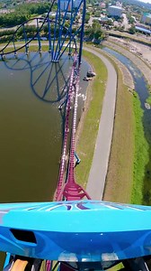 113K views · 1.7K reactions | Ready to ride like one of the ocean's fastest sharks? 麗 | SeaWorld Orlando | Facebook