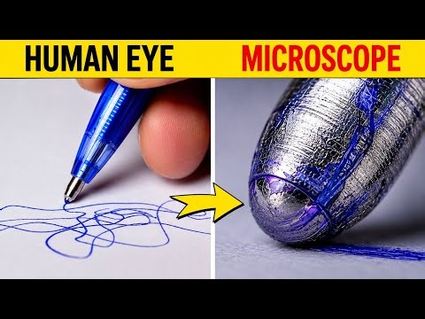 Hidden Things Only a Microscope Can See! 🔬😱