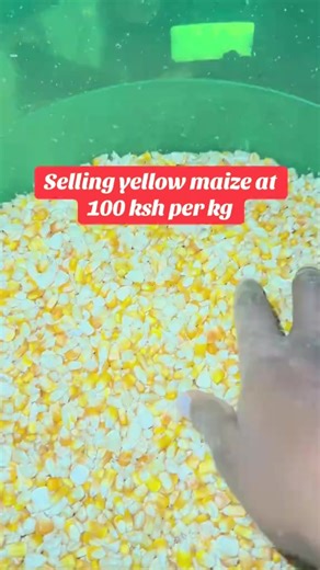 Sam west distributors Enterprises Ltd, also known as [Skyworth distributors],offers a wholesale price list covering various fast-moving consumer goods. Some representative prices include: ⛔️SUGAR - 50 kg bag sugar: around Ksh 6,400 - 6,950 - 25 kg bag sugar (half bag): about Ksh 3,400 - 3,700 - Smaller packs available but price varies widely. ⛔️FLOUR - Prices typically vary by brand and pack size, with 5 kg to 12.5 kg packs common. - A rough wholesale price for 12.5 kg flour can range :Ksh1,800 