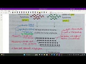 DNA Microarray, Modification Foot printing Assay, Site Directed Mutagenesis
