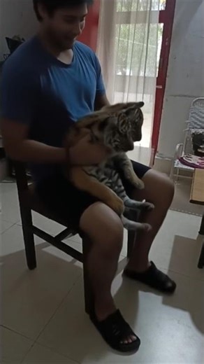 Today 2 Baby Tigers Came Into My House 🐯😱 | Cute Tiger Cubs Visit | Unbelievable Wild Moment