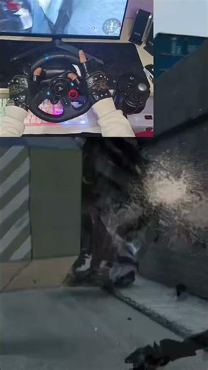 4Cars vs Giant Steel Rolls – Insane Ocean Crash Test! | BeamNG Drive Logitech G29