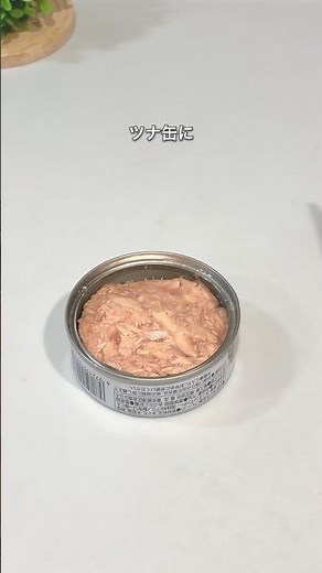 You won't be able to stop eating! Amazing ways to eat canned tuna