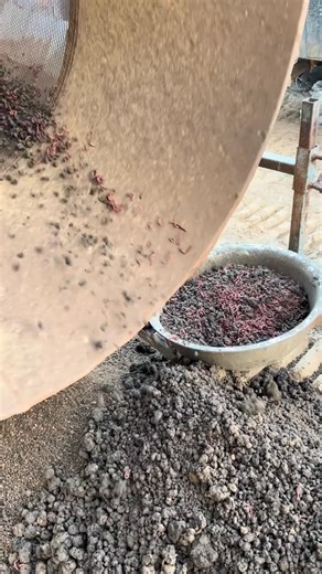 Picku Items on Instagram