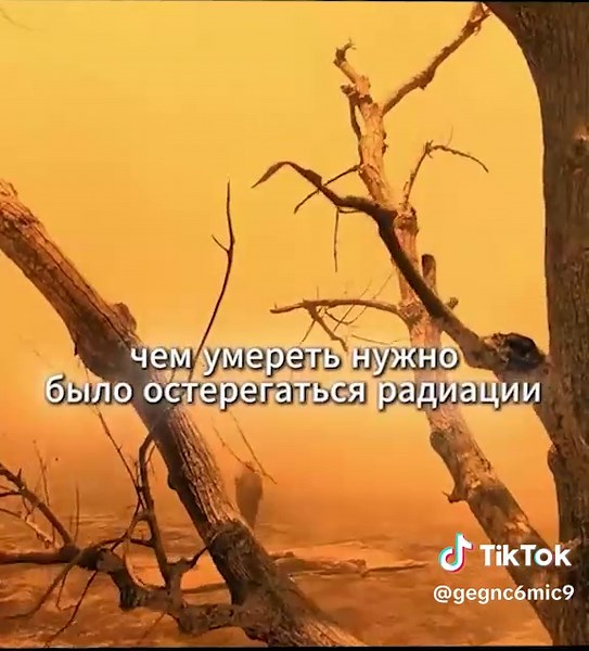 Ultimate Movie Reviews: Explore the Latest US Films