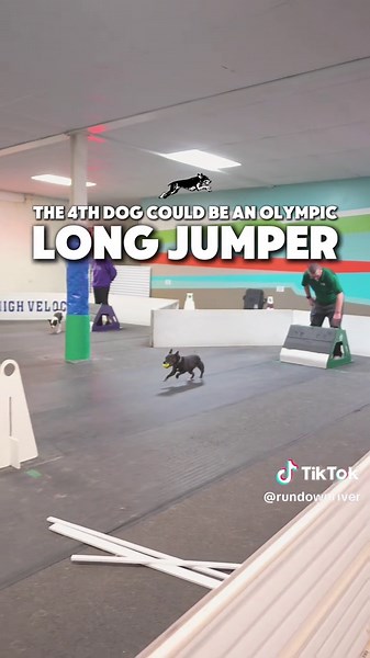 RunDownRiver on TikTok