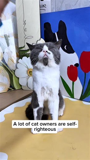 Cat farm on Instagram: "Cat owners must arrange this #cat muzzle mask"