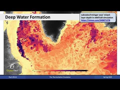Climate Dynamics Lecture 10 - The Thermohaline Circulation