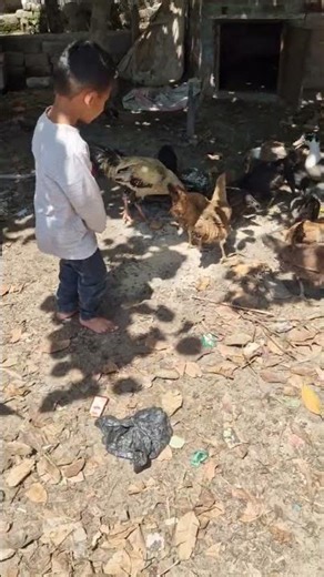 Cute boy in the zoo and watch the vlog #animallife #animalkingdom #animalloversusa #animallovers