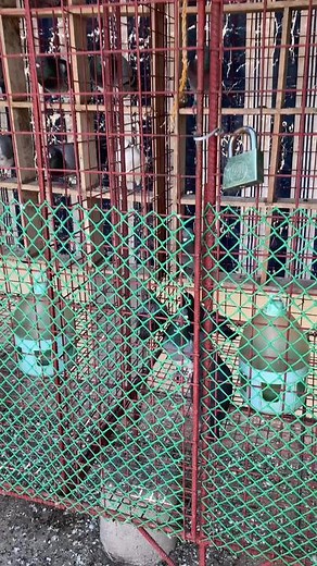 PUNONG MINISTRO LOFT TV on TikTok