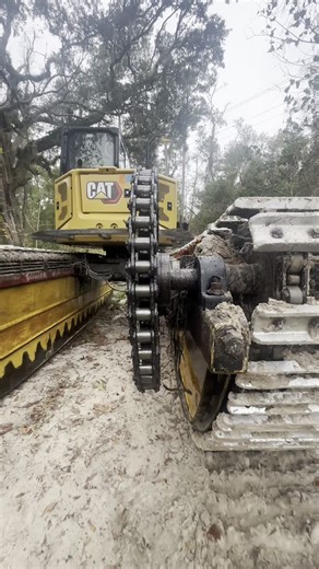 Juston Stone on Instagram: "Log jam removal with the amphibious excavator. #pondlife #Georgia #seaweed #stonesaquatic"