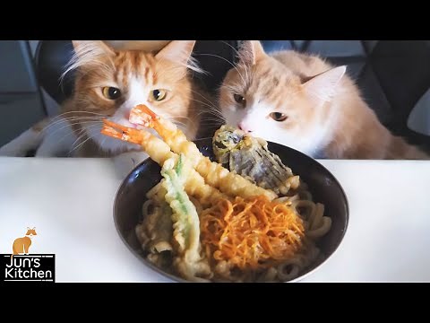 Tempura Udon Noodles