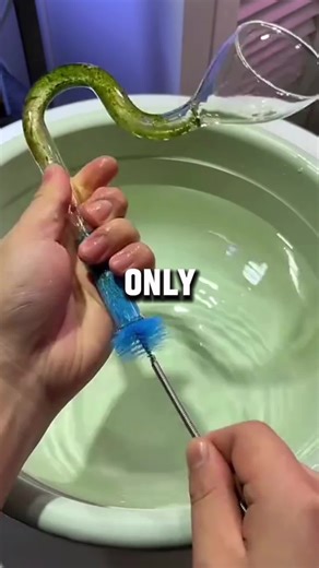 Part 1 Olaf just wandering off at Disneyland Parisat the New World of Frozen coming nextMarch! Beyond cute #disnevland #WorldOfFrozen #frozen #disneyadventureworld #disnevlandparis