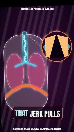 Hiccups Are Your Vocal Cords Slamming Shut 😳 #hiccups #humanbody #science #shorts