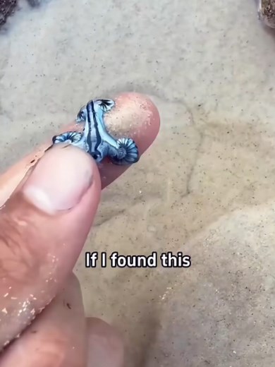 If I Found This, Do I Still Have to Go to Work?