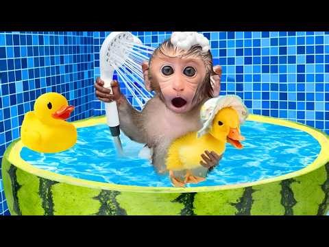 Monkey Baby’s First Swim in a Watermelon Pool! 😱🍉| Nursery Rhymes & Kids Songs |Bobby Kids Songs