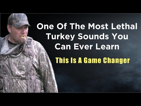 One of the most lethal calls for Spring Gobblers