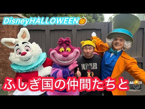 【komeのDiLOG】フレンジー開始直前に雨が降ってきた日の動画です